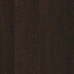 Дуб болотный коричневый